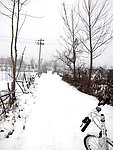 雪地
