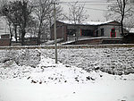 春雪