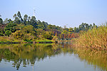 湖中景色