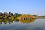 小岛