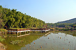 湖畔风景