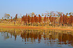 湖畔风景