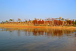 湖畔风景
