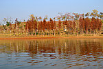 湖畔风景