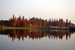 湖畔风景
