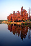 湖畔风景