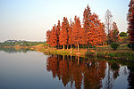 湖畔风景