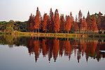 湖畔风景