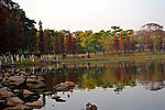 湖畔风景