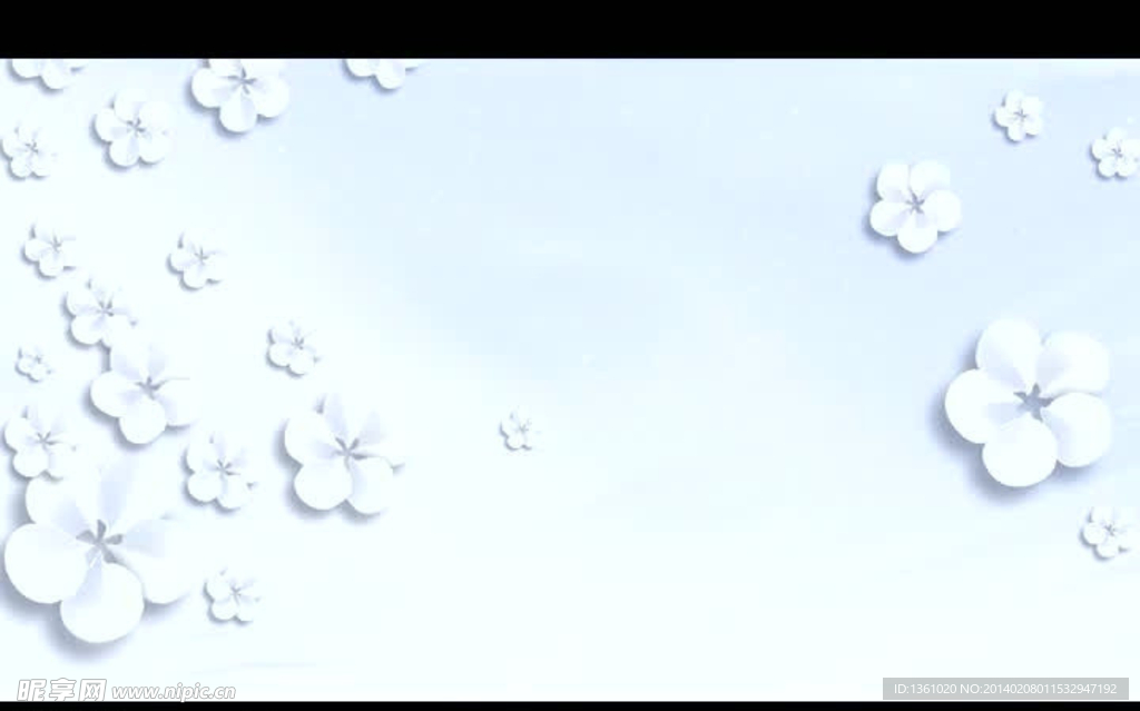 花朵光效视频素材