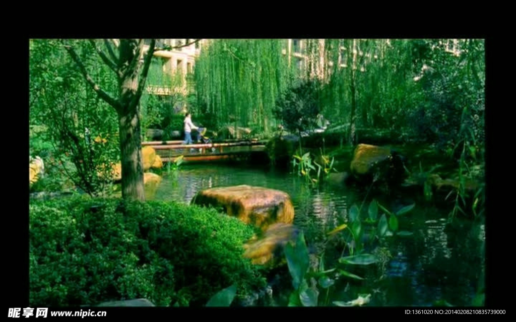 绿树小溪视频素材