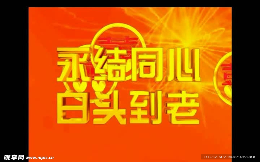 婚礼视频素材