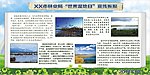 世界湿地日环保环境宣传版报