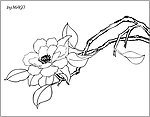 茶花线描