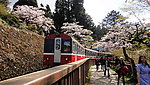 台湾阿里山