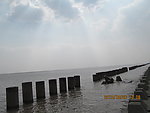 大海