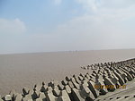 上海