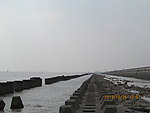 大海