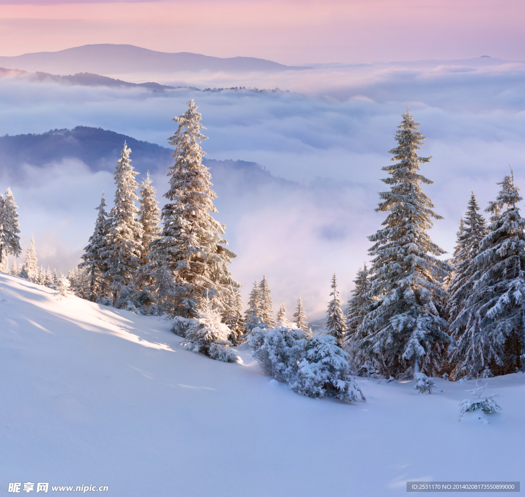 雪景