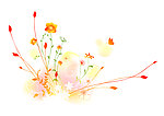 花纹