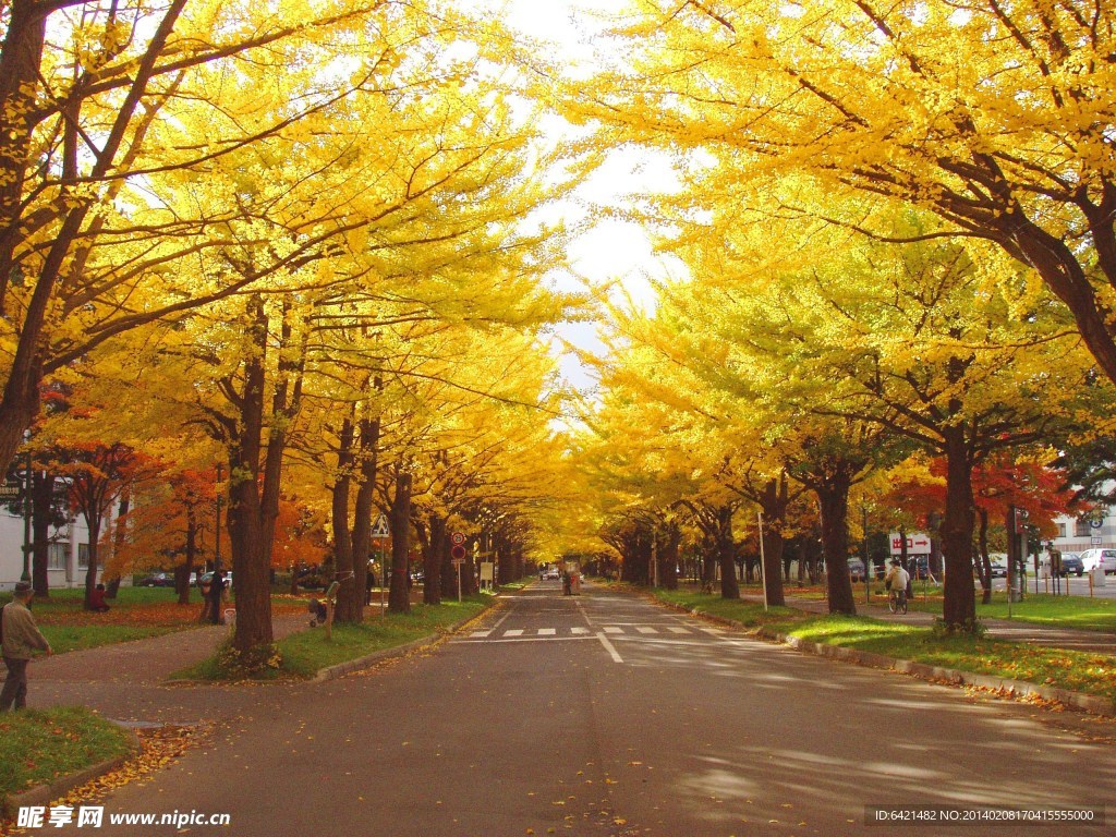 日本札幌城市风景