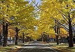 日本札幌城市风景