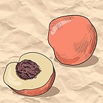 桃子