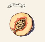 桃子