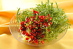 凉拌菜