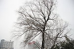 雪景