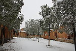 雪景