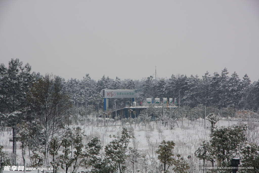 雪景