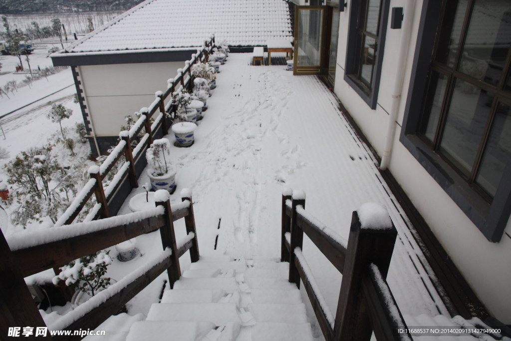 雪景