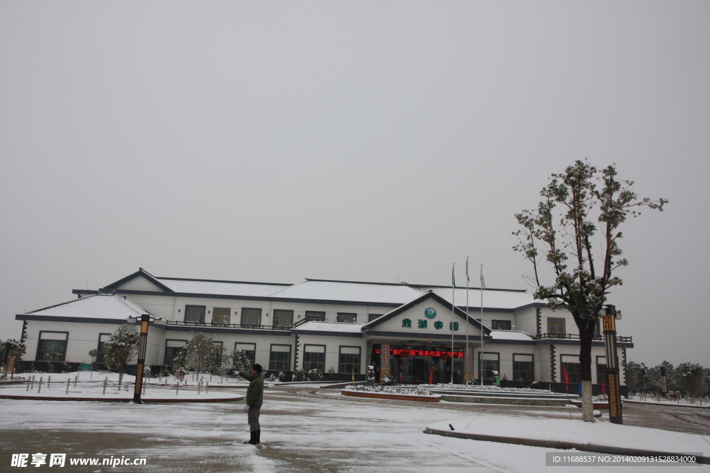 雪景