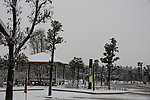 雪景