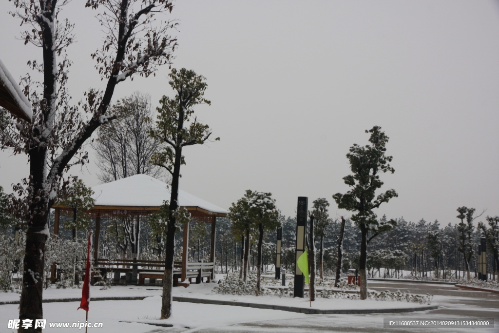 雪景