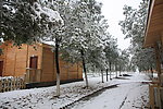 雪景