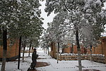 雪景
