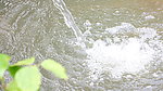 水泡