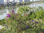 城市湖景风貌