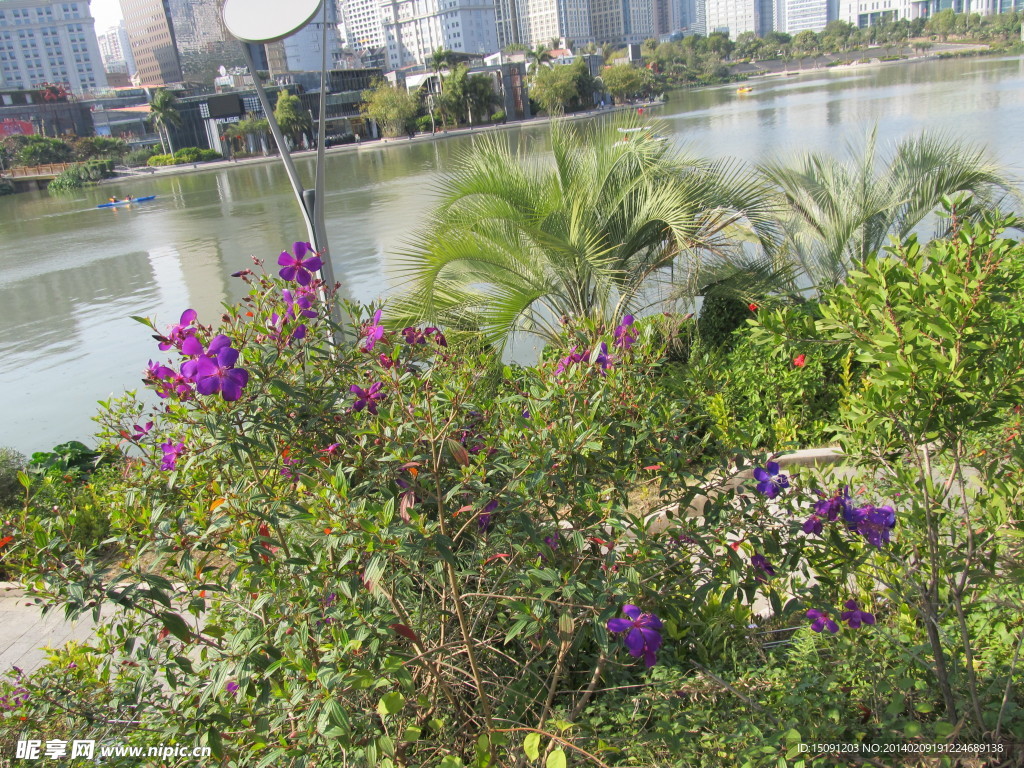 城市湖景风貌