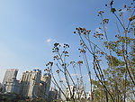 城市蓝天