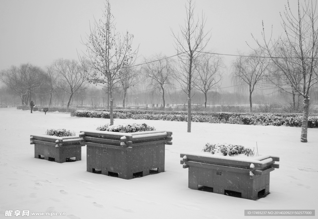 花坛雪景