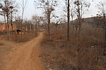 土路 道路