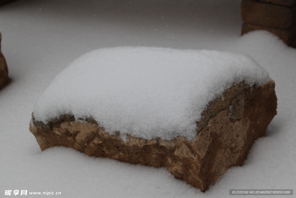 雪中的动物