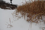 雪景