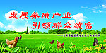 养殖
