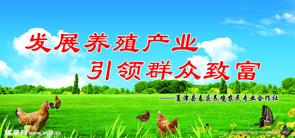 养殖
