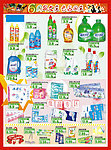 洗化用品促销DM
