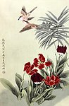 郁金香